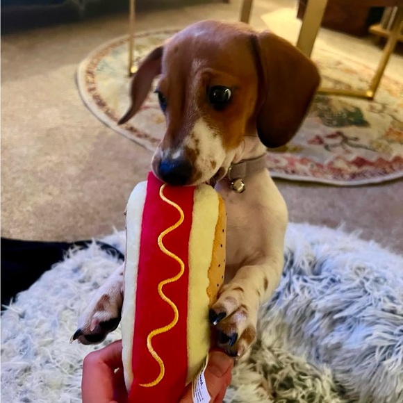 Meet your posher - Picture 3 of 5